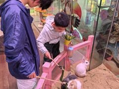 -正佳雨林生态植物园