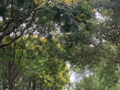 -绿堤公园