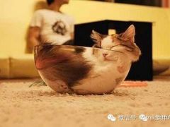 android_upload_pic-Sirena海妖日咖夜酒