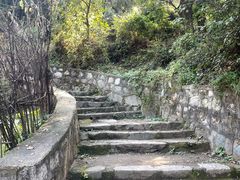 -大岭沟猕猴桃谷风景区
