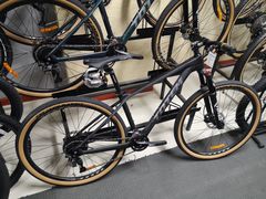 -道路口单车爱瓦士dahon大行