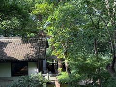 -中国茶叶博物馆(双峰馆区)