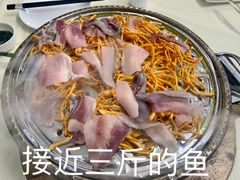 -凯盈阁·顺德私房菜·桑拿鸡