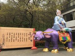 -句容茅山景区
