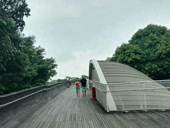 -亨德森波浪桥