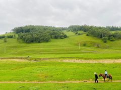 -关山草原