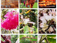 -呀路古热带植物园