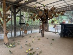 -珠海海泉湾神秘岛亲子乐园