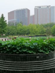 -大望京儿童游乐场