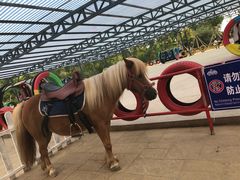 -渔岛海洋度假区