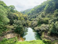 -鼎湖山风景区