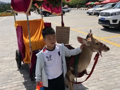 -塞罕坝国家级自然保护区