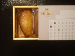 -东京希尔顿酒店
