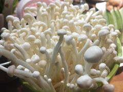 -滇海谣云南斑鱼养生火锅(北戴河旗舰店)