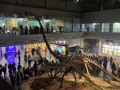 -自贡恐龙博物馆