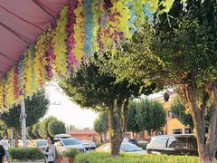 -马白开来特色羊排揪片子  (总店)