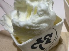 -野人先生现做冰淇淋(北京环宇荟店)