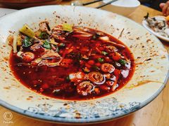 -老字号怡玺·藿香雅鱼(20年雅安店)