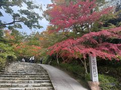 -三千院