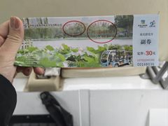 -济南大明湖景区