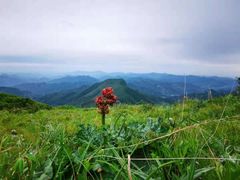 -白草畔自然风景区
