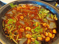 -鼓楼东街老火锅(鼓楼店)