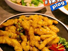 -前海沿·青岛菜(乐客城店)