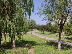 -永定河休闲森林公园