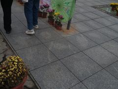 -宜春禅都文化博览园