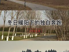 -汉长安城未央宫国家考古遗址公园