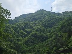 -梦幻奥陶纪景区