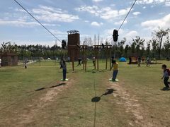 -上海长兴岛郊野公园