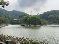 -广州市帽峰山景区