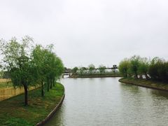 -上海多利农业发展有限公司