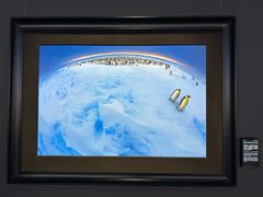 -罗红摄影艺术馆