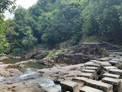 -广州白江湖森林公园