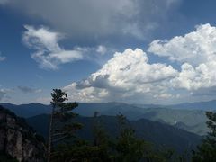 -牛背梁国家森林公园