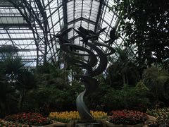 -南山植物园