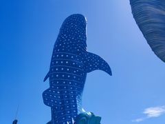 -珠海长隆海洋王国