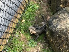 -可伦宾野生动物保护区