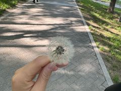 -回龙观体育文化公园