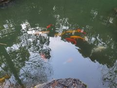 -杭州植物园