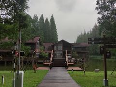 -黄海国家森林公园