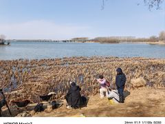 -丁香湖公园