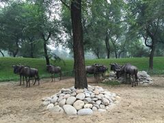 -北京野生动物园