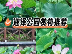 -迎泽公园