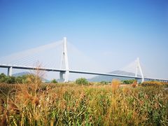 -芒洲湿地公园