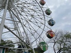 -森波拉奇妙世界