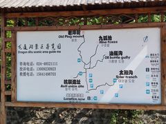 -龙道沟景区