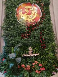 -南京康美美容医院·旗舰店